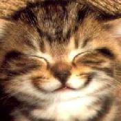 ver_y_happy_cat.jpg