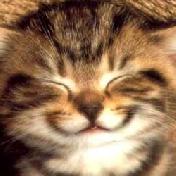 very_happy_cat